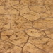 Fieldstone